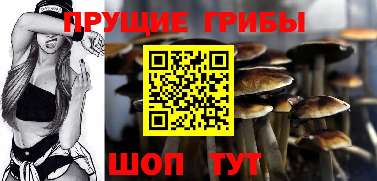 Псилоцибиновые грибы мицелий  Вход с VPN  Майский 