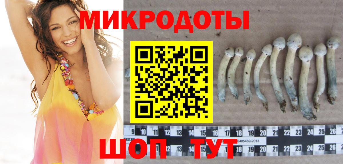 Галлюциногенные грибы Cubensis Майский